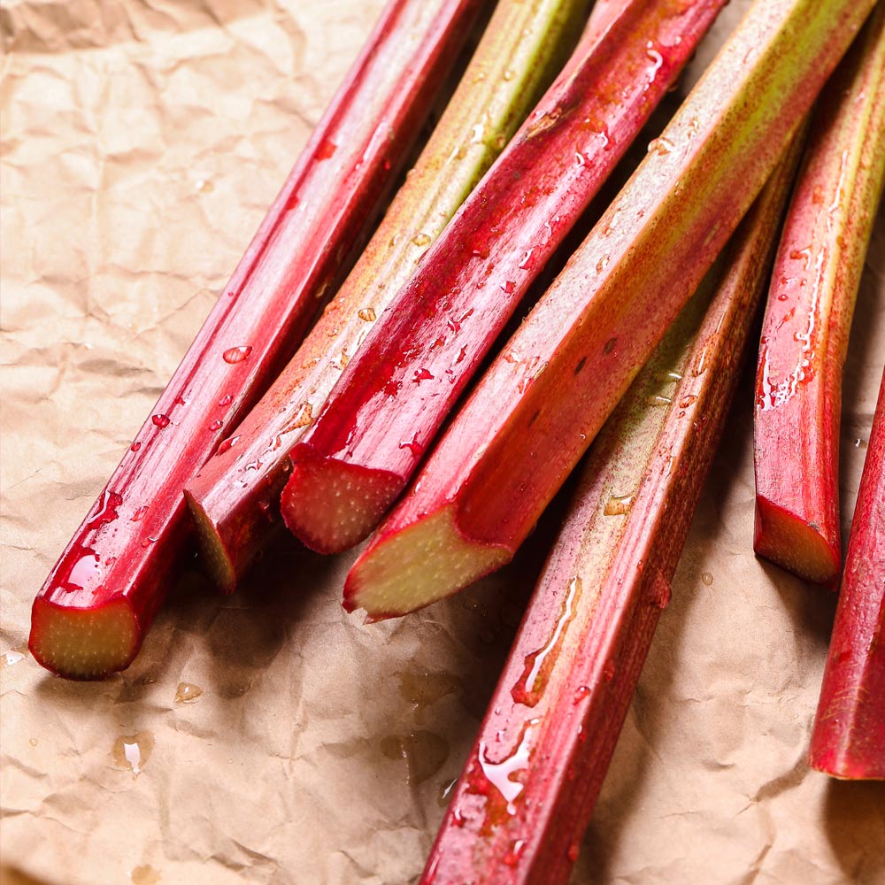 pick your own rhubarb