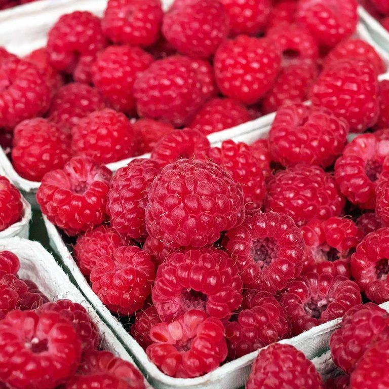 Fruit Picking – Wymeswold Fruit Farm