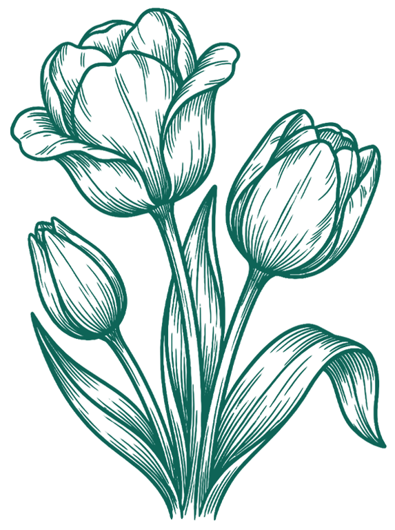 tulips-all-green-768x768