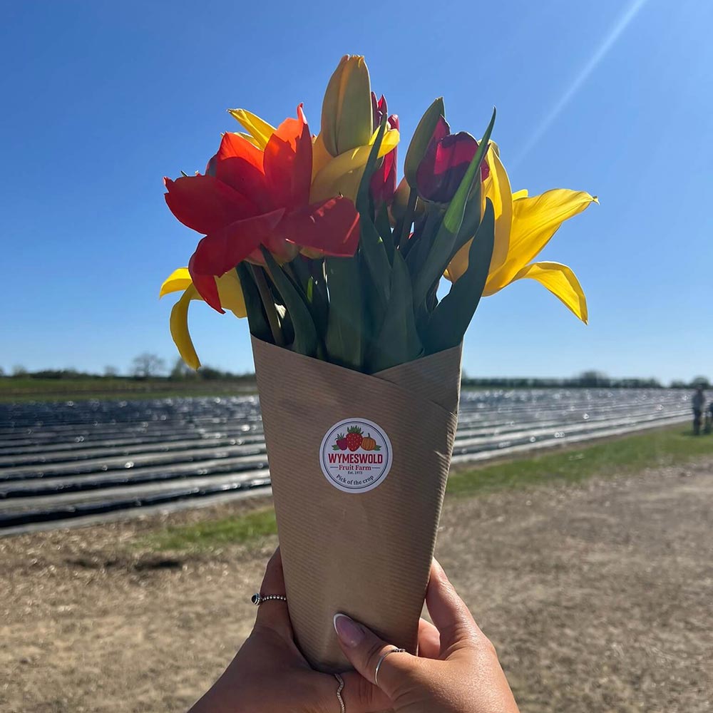 wrapped-tulips-square